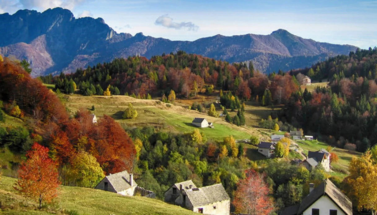 Escursioni alla Piana di Vigezzo