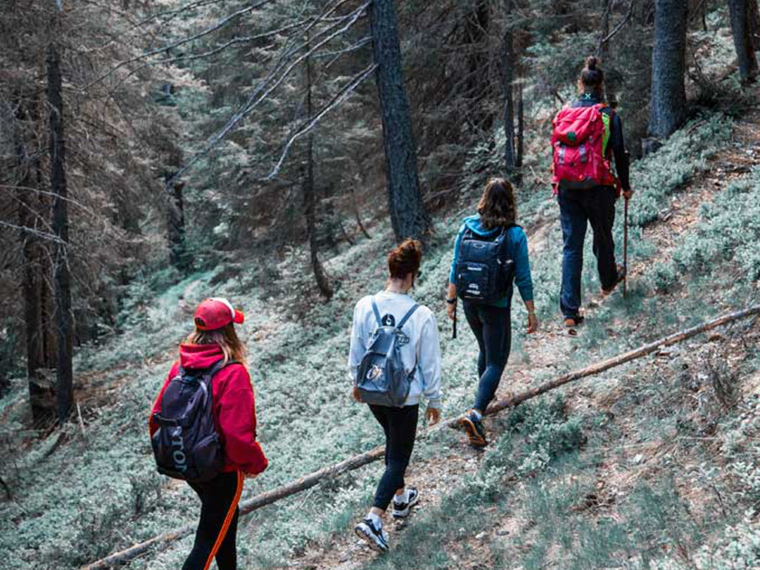 Tra Boschi e Alpeggi della Val Vigezzo